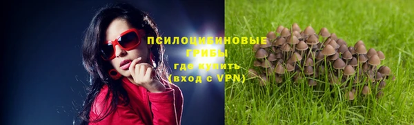каннабис Алексеевка
