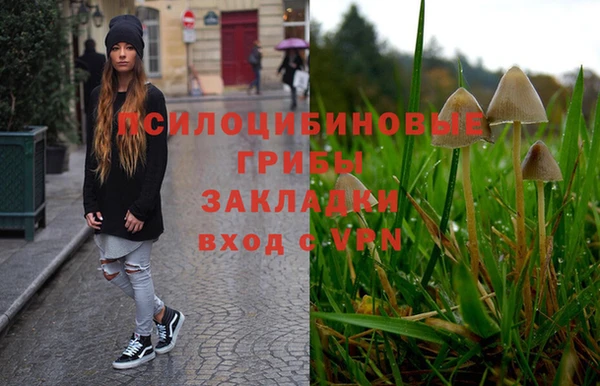трава Алзамай