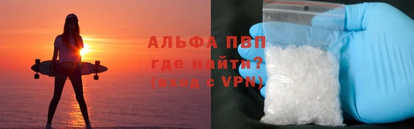 ГАЛЛЮЦИНОГЕННЫЕ ГРИБЫ Абаза