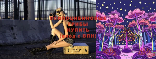 МДПВ Абинск