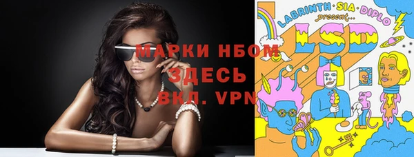 ГАЛЛЮЦИНОГЕННЫЕ ГРИБЫ Абаза