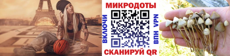 Галлюциногенные грибы Cubensis  сколько стоит  Пудож 